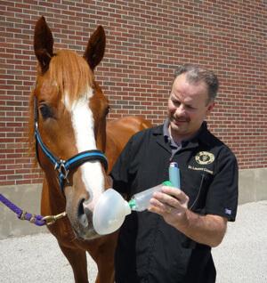 Dr. Couetil with a patient